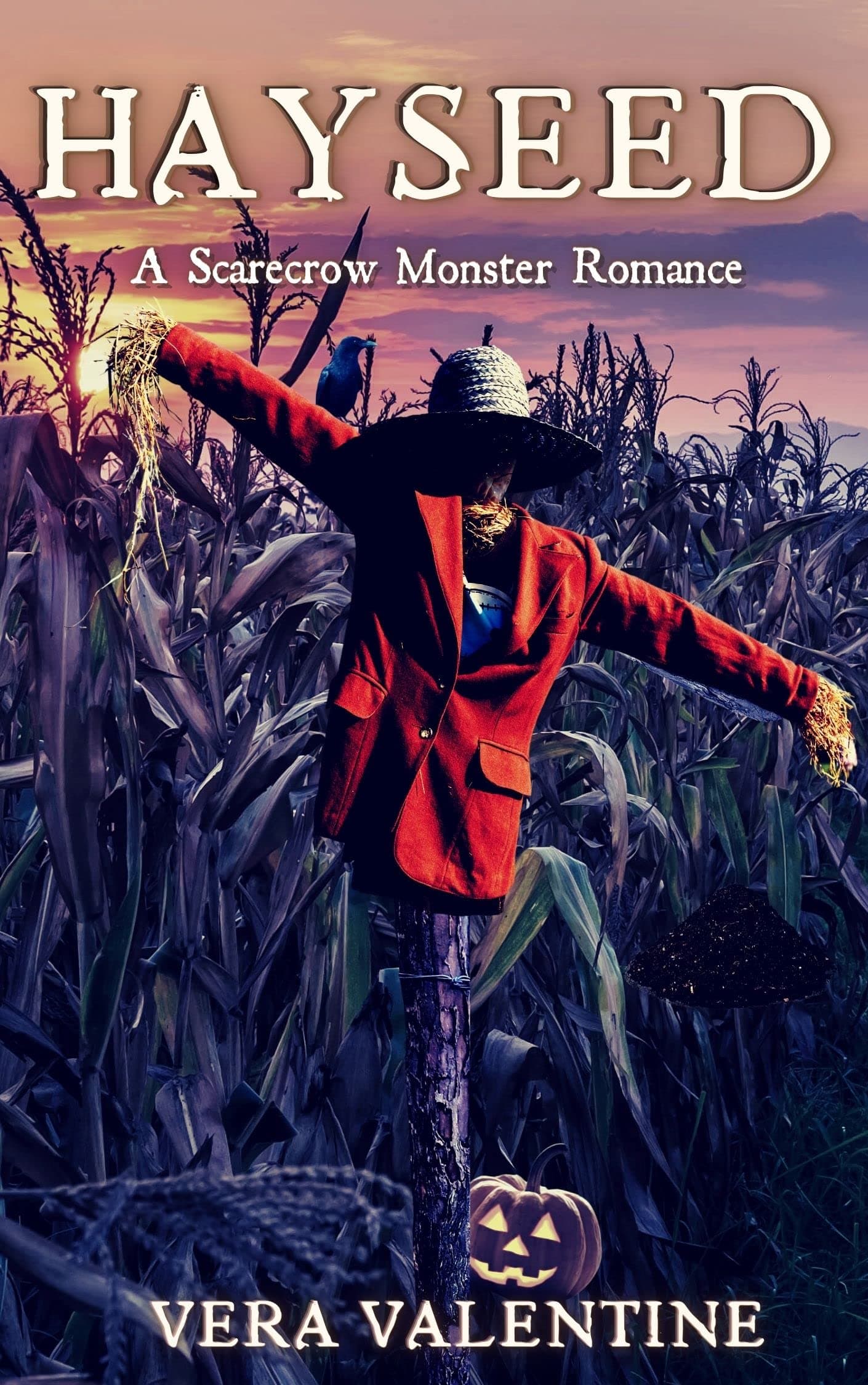 Cover of Hayseed by Vera Valentine